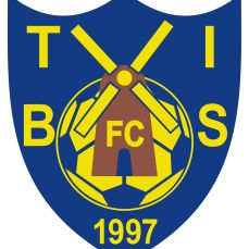 TIBS Logo